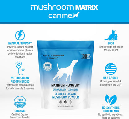 Om Mushroom Matrix Maximum Recovery - Suplemento de Hongos para Perros y Gatos, 200g (7.1 oz) – Image 3