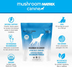Om Mushroom Matrix Maximum Recovery - Suplemento de Hongos para Perros y Gatos, 200g