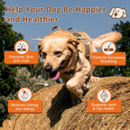 NATURE TARGET Omega 3 Aceite de Pescado para Perros, Suplemento de Piel y Pelaje con Omega 3-6-9 (EPA y DHA), Zinc, Biotina y Vitaminas E y C - 120 Golosinas Blandas Sabor Salmón