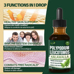 Polypodium leucotomos Immune Support Drops, Herbal Extract Immunity Boost Supplement for Skin Health. Calaguala para Proteger la Piel. 2oz