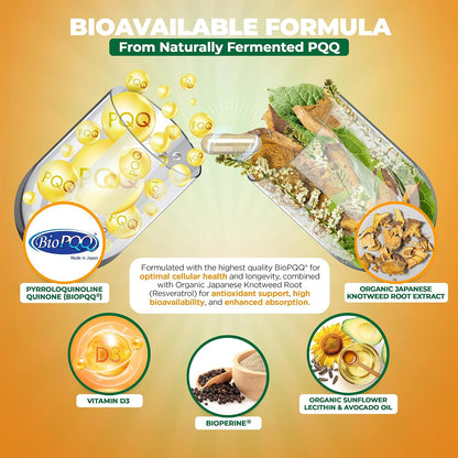 PQQ Mitorestore - Suplemento Cognitivo con BioPQQ 20mg | Memoria y Enfoque – Image 5