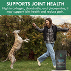 Holistic Bin Canine Chicken Blend Protein Powder Dog Food Toppers | Daily Supplement Powder with Bone Broth, Collagen & Essential Amino | Mobility, Recovery & Overall Wellness | Chicken (50g)