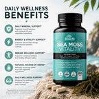 HerbaMe Musgo de Mar Orgánico con Bladderwrack, Bardana y Pimienta Negra - 150 Cápsulas Vegetales