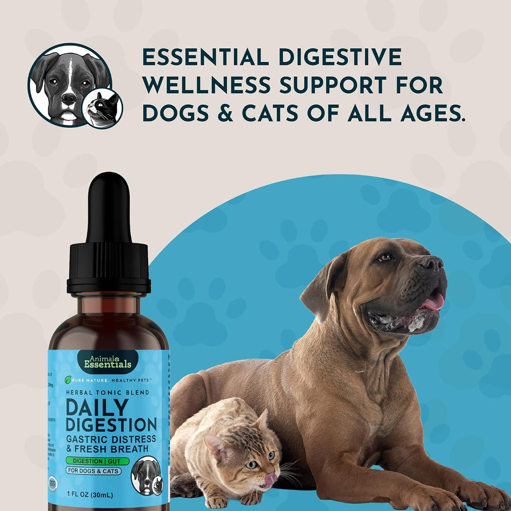 Daily Digestion 1 fl oz – Suplemento herbal para perros