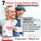 Plantvital Berberina 1200mg (120 Cápsulas) - Complemento Puro