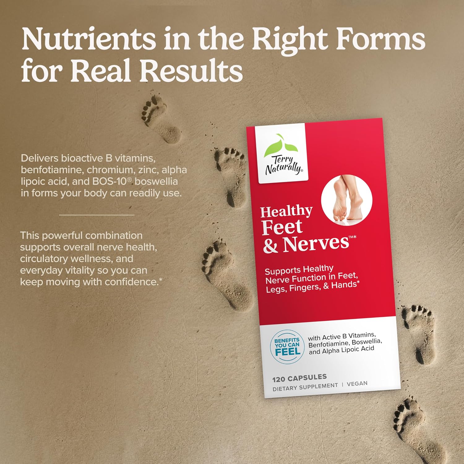 Terry Naturally Healthy Feet & Nerves - Vegan Capsules for Nerve and Circulatory Health, 120 Capsules