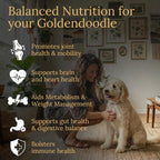 Prestige Breed Multivitamínicos para Goldendoodle, 90 unidades, Sabor a Bacon Real