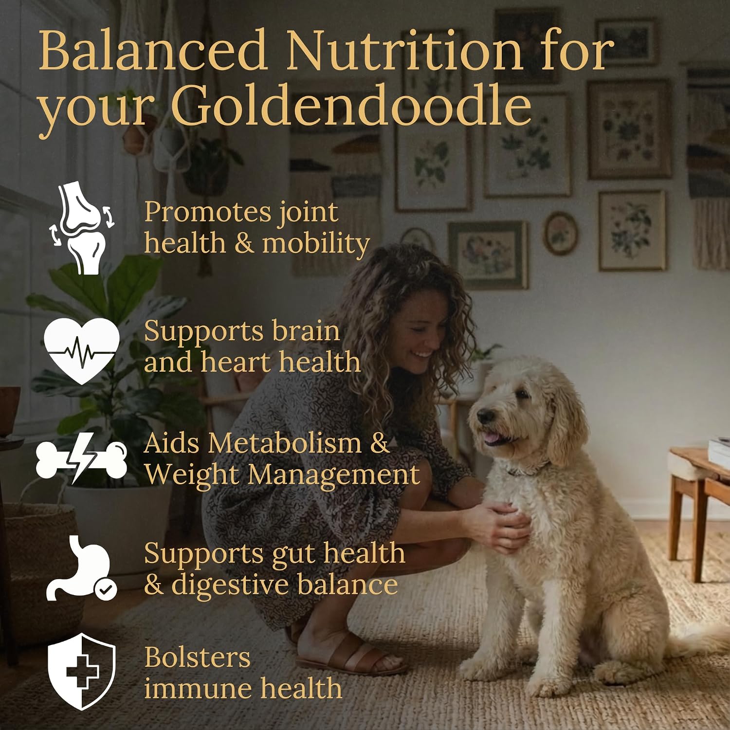 Prestige Breed Multivitamínicos para Goldendoodle, 90 unidades, Sabor a Bacon Real