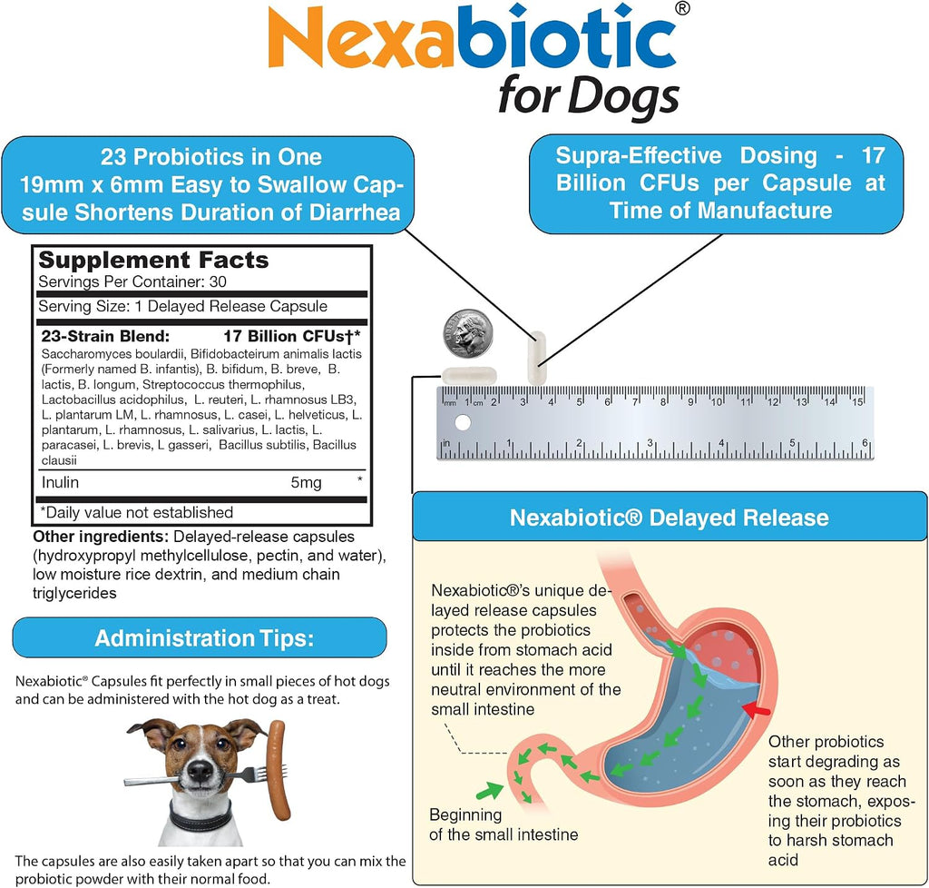 DrFormulas Probiotics for Dogs and Puppies - 23 Probiotic Strains, 30 Capsules