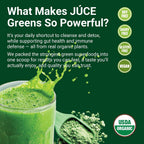 Juce Greens Organic Superfood Powder - 77 Superfoods con Hongos Adaptógenos y Probióticos - Sabor Manzana (20 Servicios)