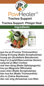 Trachea Soother Pack - Jarabe y Polvo Herbal para Perros - Complemento Respiratorio Natural