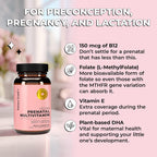 Future Kind Vitamina Prenatal - Embarazo, Lactancia y Bienestar con DHA y L-Metilfolato - Suplemento de Folato para Mujeres con Vitamina D, E, Hierro, Omega-3 y Biotina (60 Cápsulas)