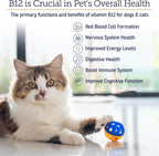 RX Vitamins B12 para Perros y Gatos - Suplemento Líquido para Apoyo Digestivo y Nervioso - 118 ml (4 oz)