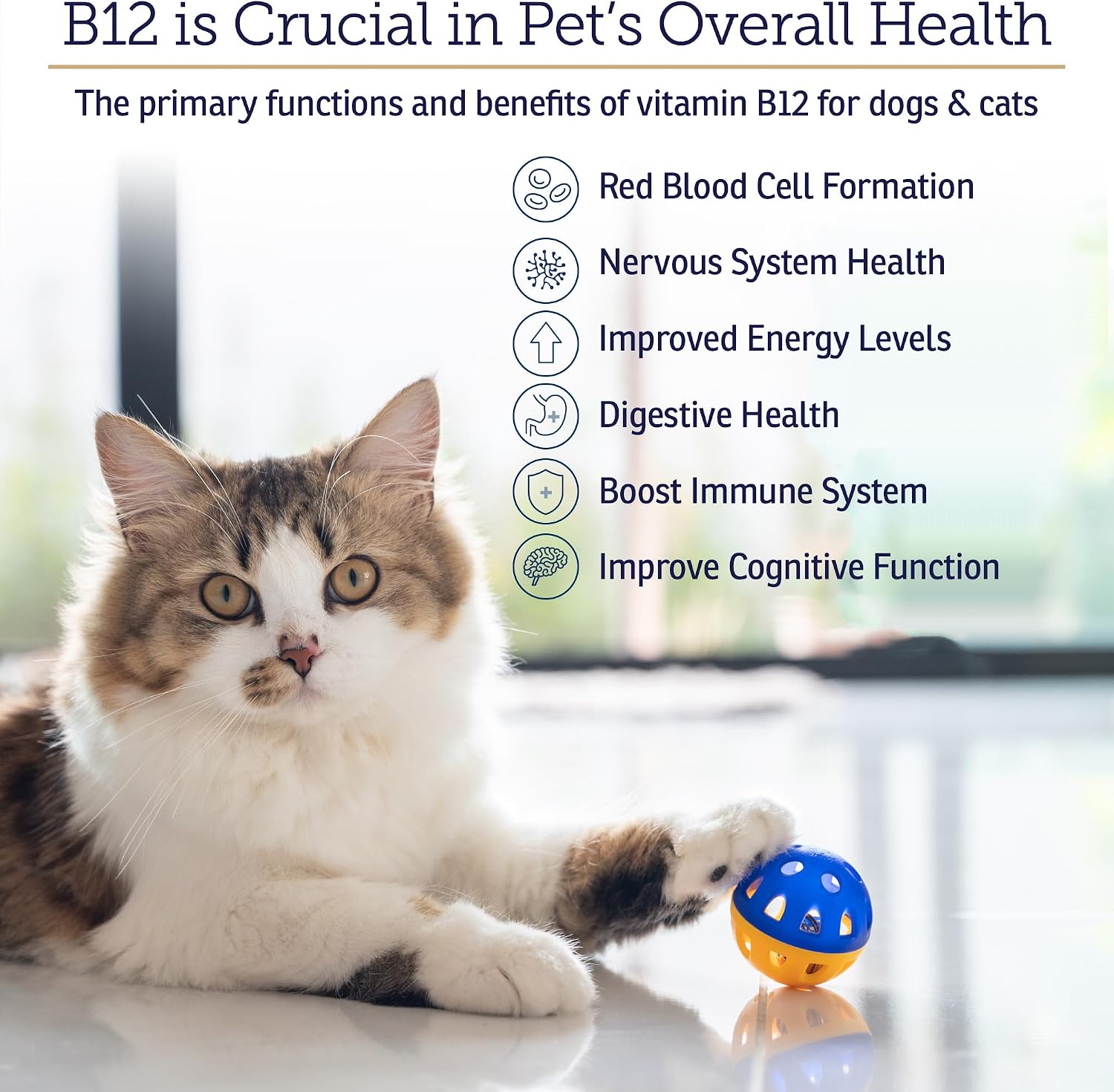 RX Vitamins B12 para Perros y Gatos - Suplemento Líquido para Apoyo Digestivo y Nervioso - 118 ml (4 oz)