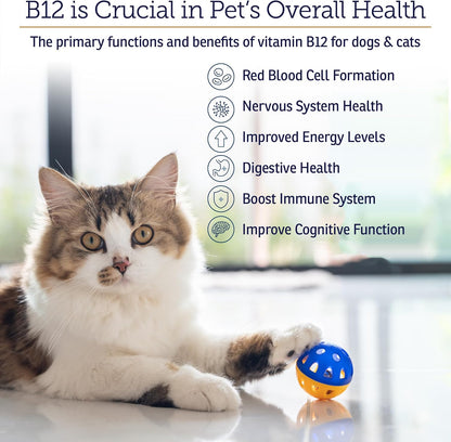 RX Vitamins B12 para Perros y Gatos - – Mascotas que siguen dietas caseras o restringidas que podrían carecer de – Image 3