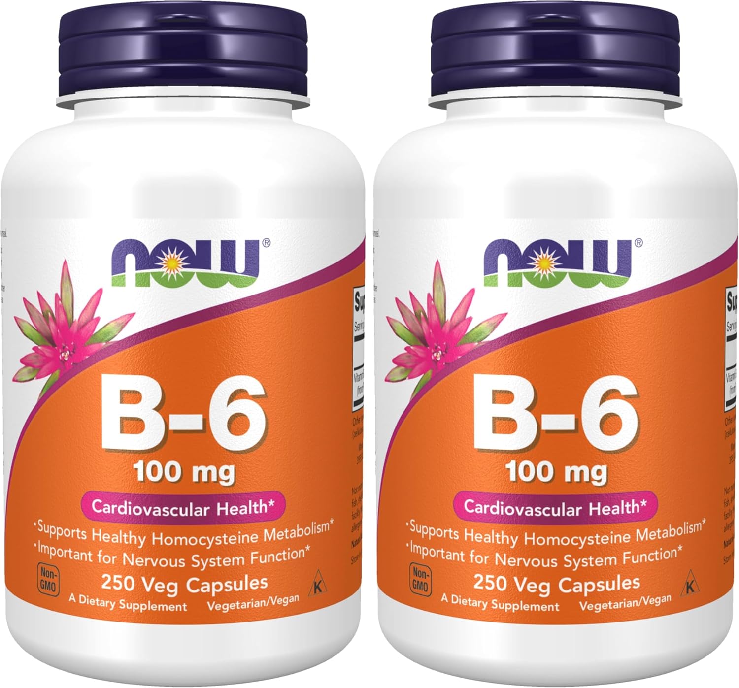 NOW Foods, Vitamina B-6 (Piridoxina HCl) 100 mg, 250 Cápsulas