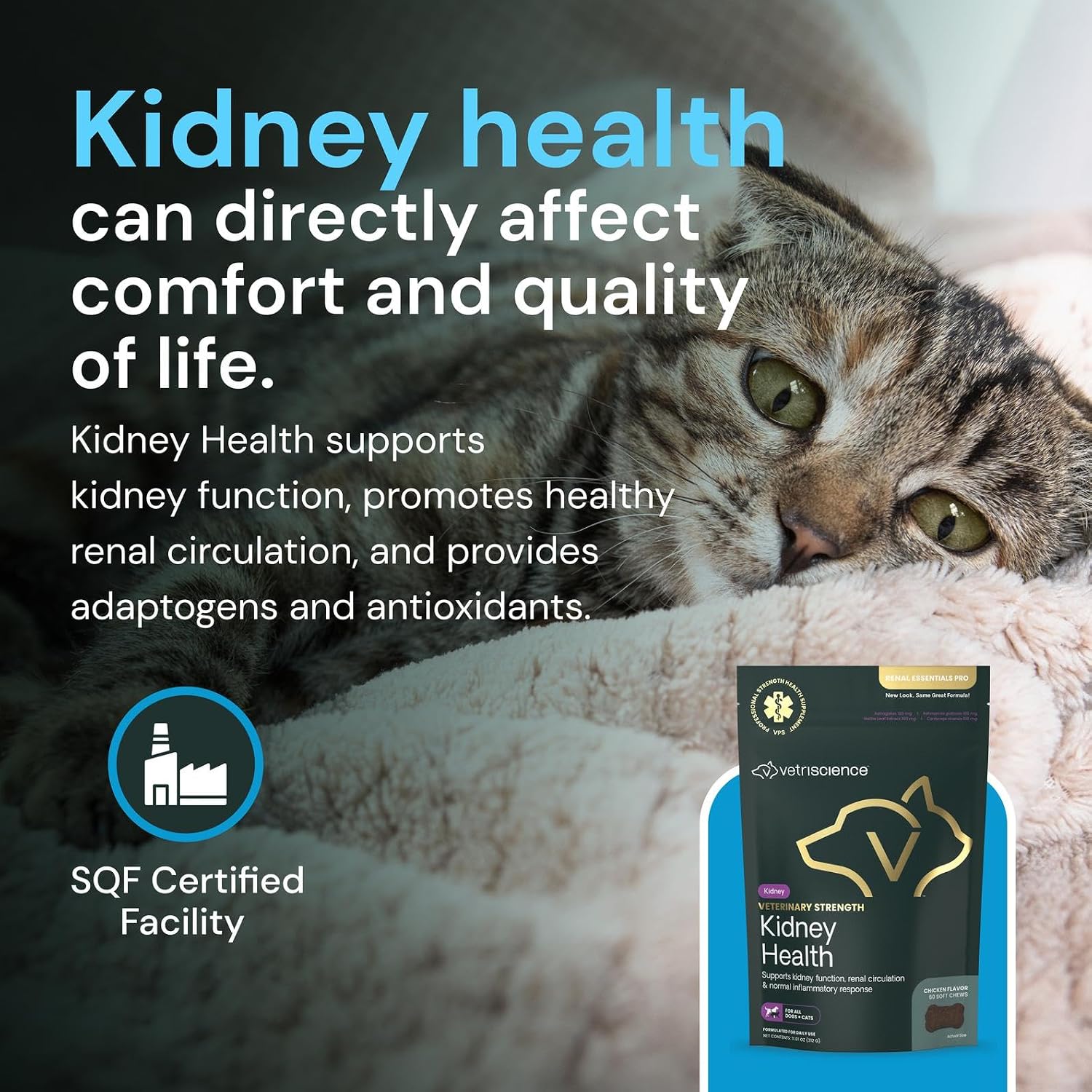 Vetriscience Veterinary Strength Kidney Health Chews – Apoyo renal equilibrado para mascotas – 60 masticables con sabor a hígado de pollo
