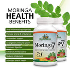 Moringa 7 Super Grass - Pure Moringa Oleifera Extract - 1875mg, 100% Natural Supplement