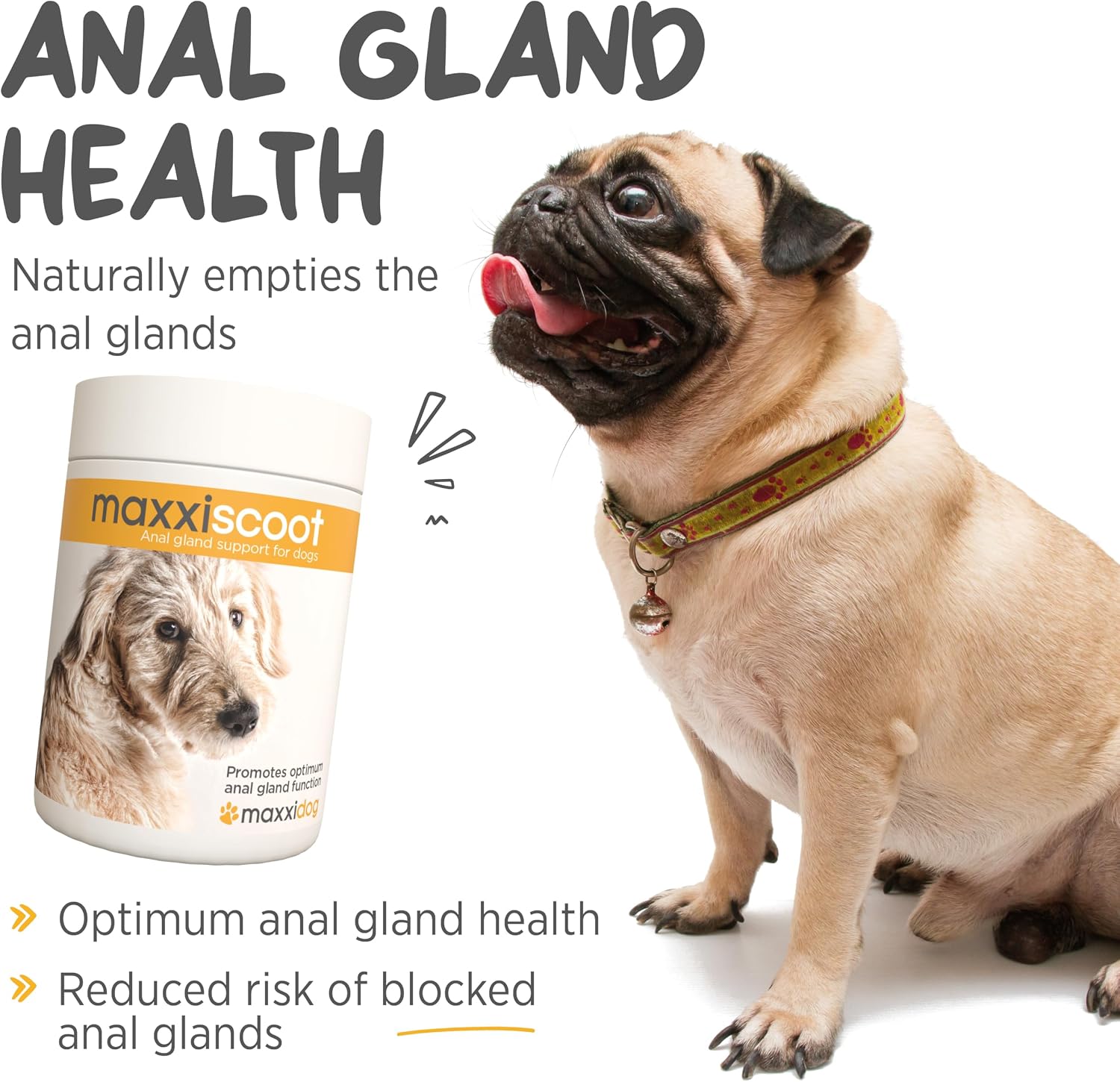 maxxiscoot Apoyo Digestivo y Glandular para Perros - Suplemento en Polvo Natural para la Calidad de las Heces y la Salud Intestinal - 141g