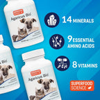 Agaricus Bio 300mg para Perros y Gatos - Suplemento de Hongos Beta Glucano - 60 Cápsulas