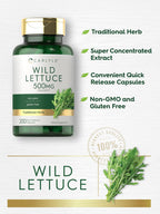 Carlyle Extracto de Lechuga Silvestre | 200 Cápsulas | Suplemento de Hoja Herbácea | Sin OGM y Sin Gluten