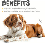 maxxiscoot Apoyo Digestivo y Glandular para Perros - Suplemento en Polvo Natural para la Calidad de las Heces y la Salud Intestinal - 141g