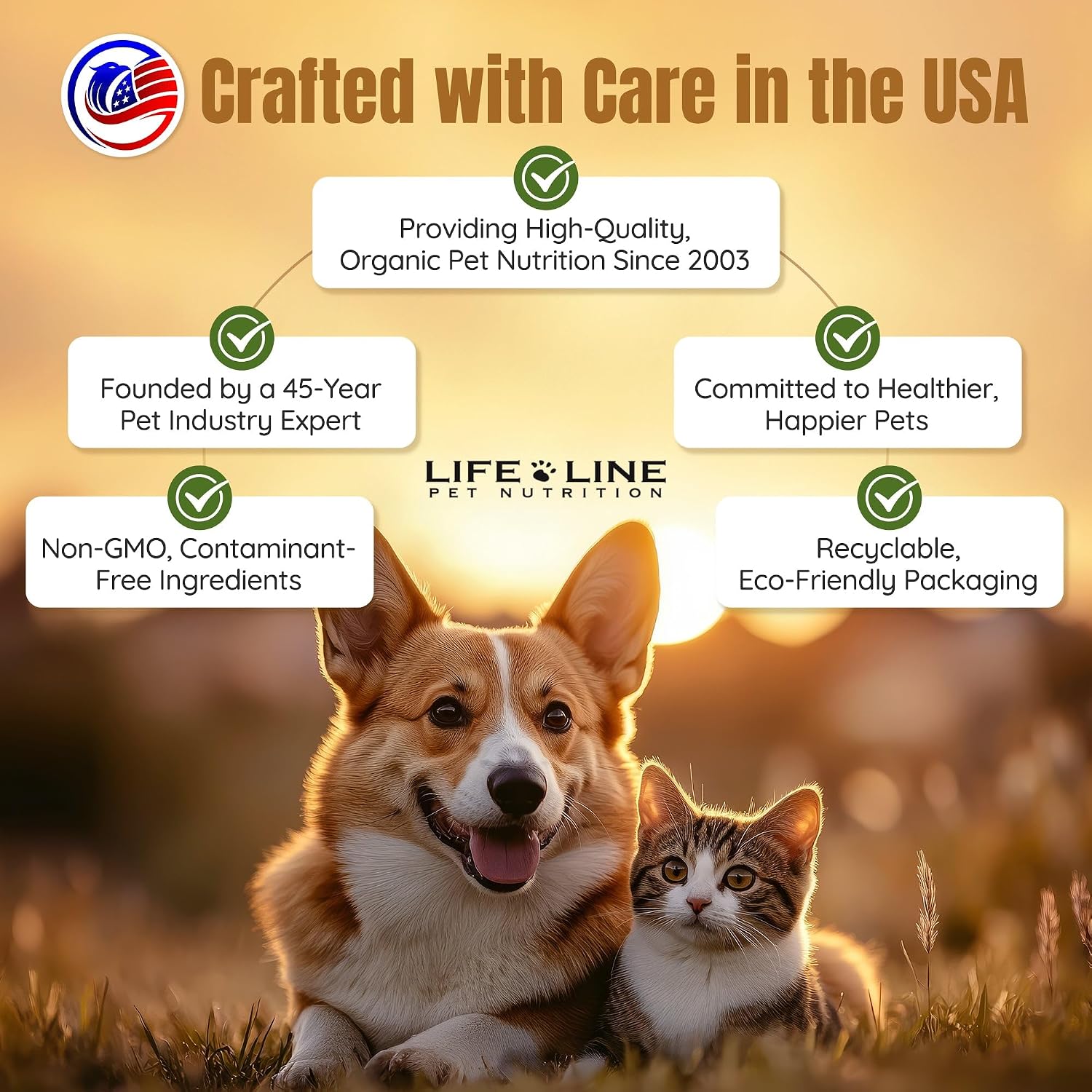Lifeline Aceite Premium Omega 3 de Pescado y Cáñamo para Perros y Gatos | Apoyo para Piel, Pelaje y Articulaciones | Suplemento Calmante con Astaxantina – 8.5 oz