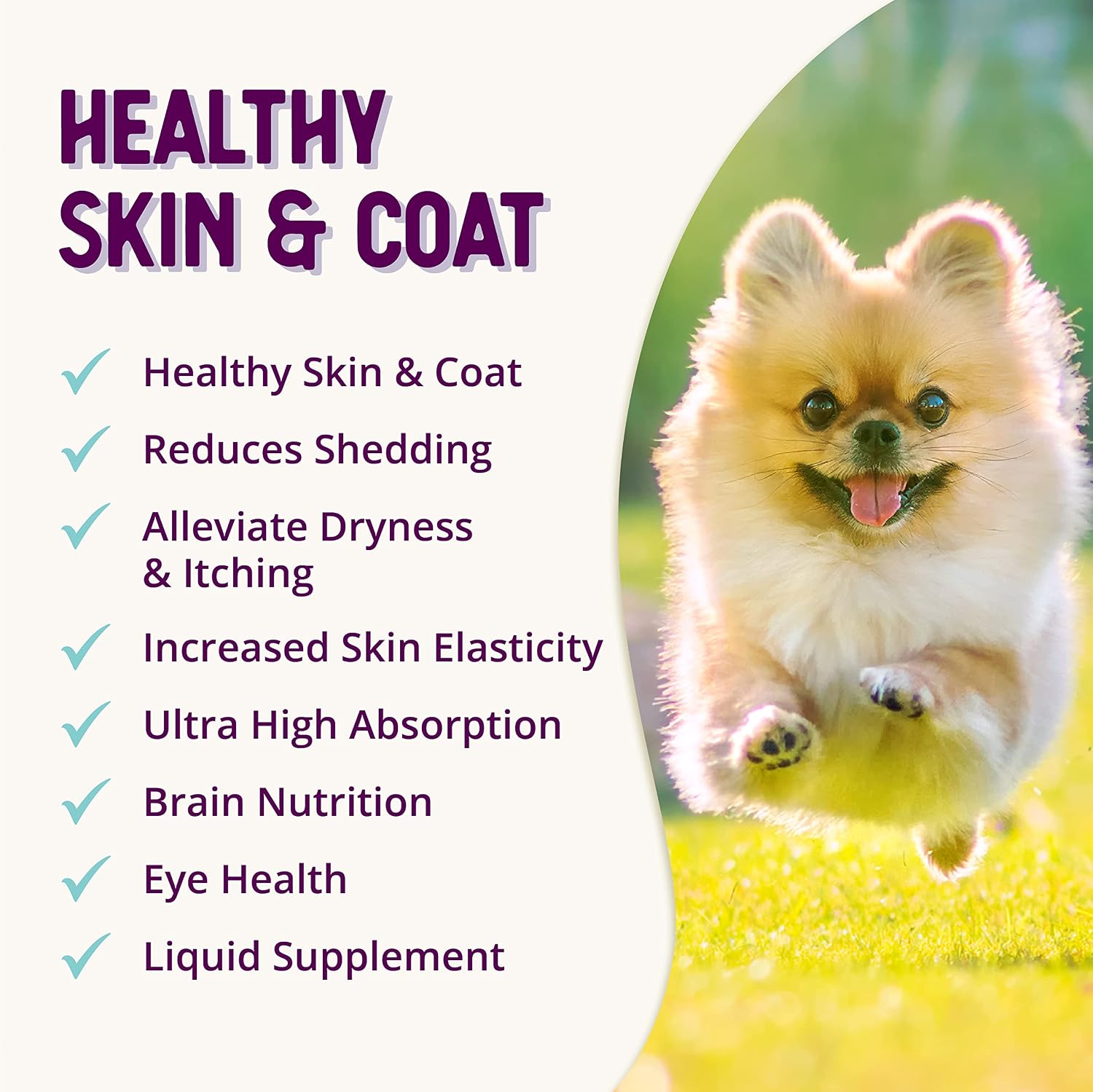Health Extension Suplemento de Piel y Pelaje con Omega 3 y 6 para Perros, 16 oz