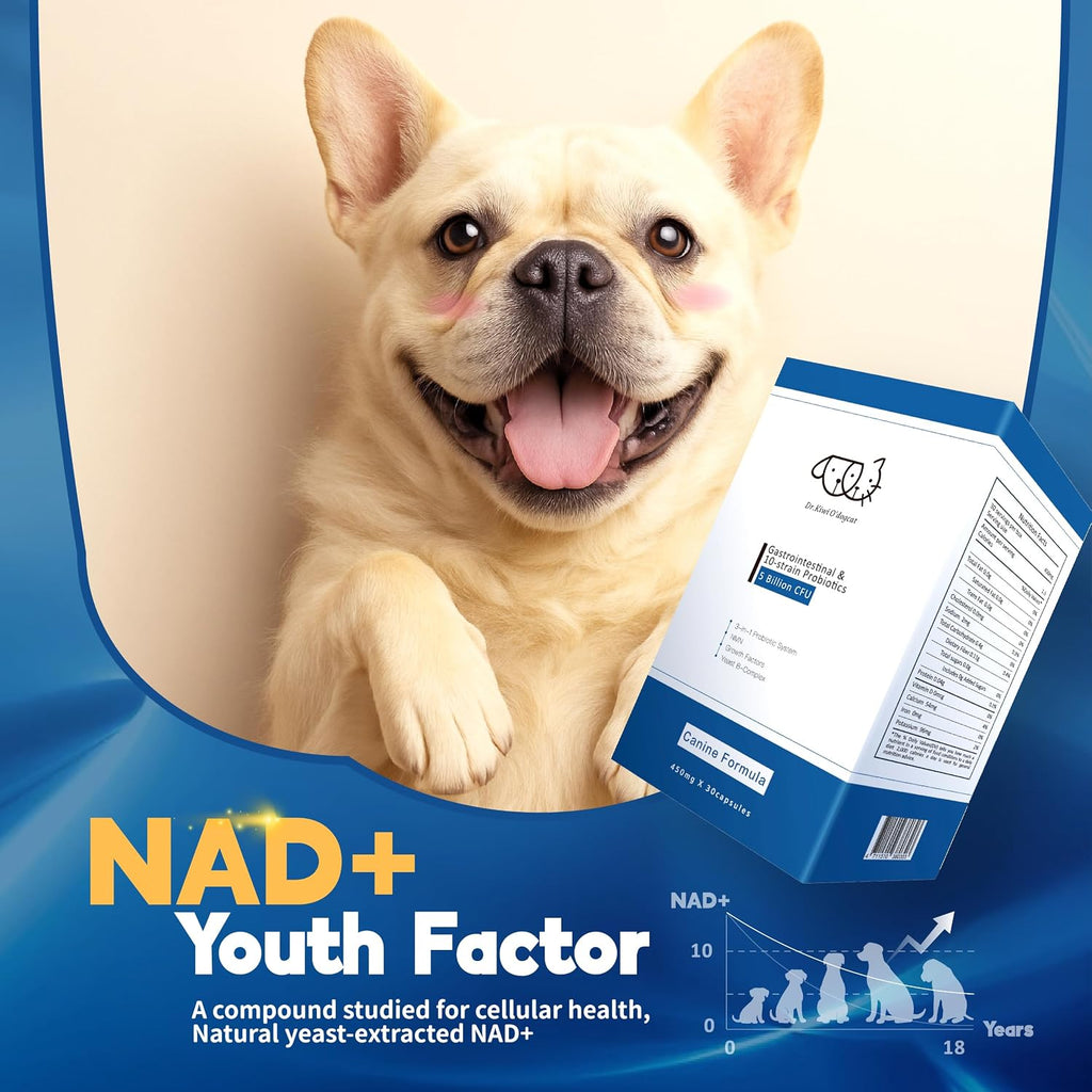 Dr. Kiwi O'dogcat Probióticos para Perros - Salud Digestiva e Inmunitaria