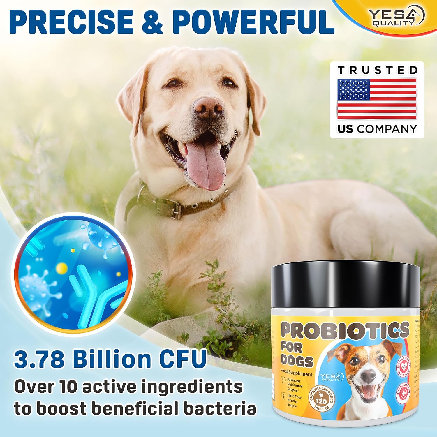 Probióticos para Perros con Prebióticos - 120 Comprimidos Sabor Pollo