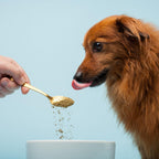 The Missing Link Pet Kelp Piel y Pelaje para Perros 227 g - Suplemento en Polvo Orgánico