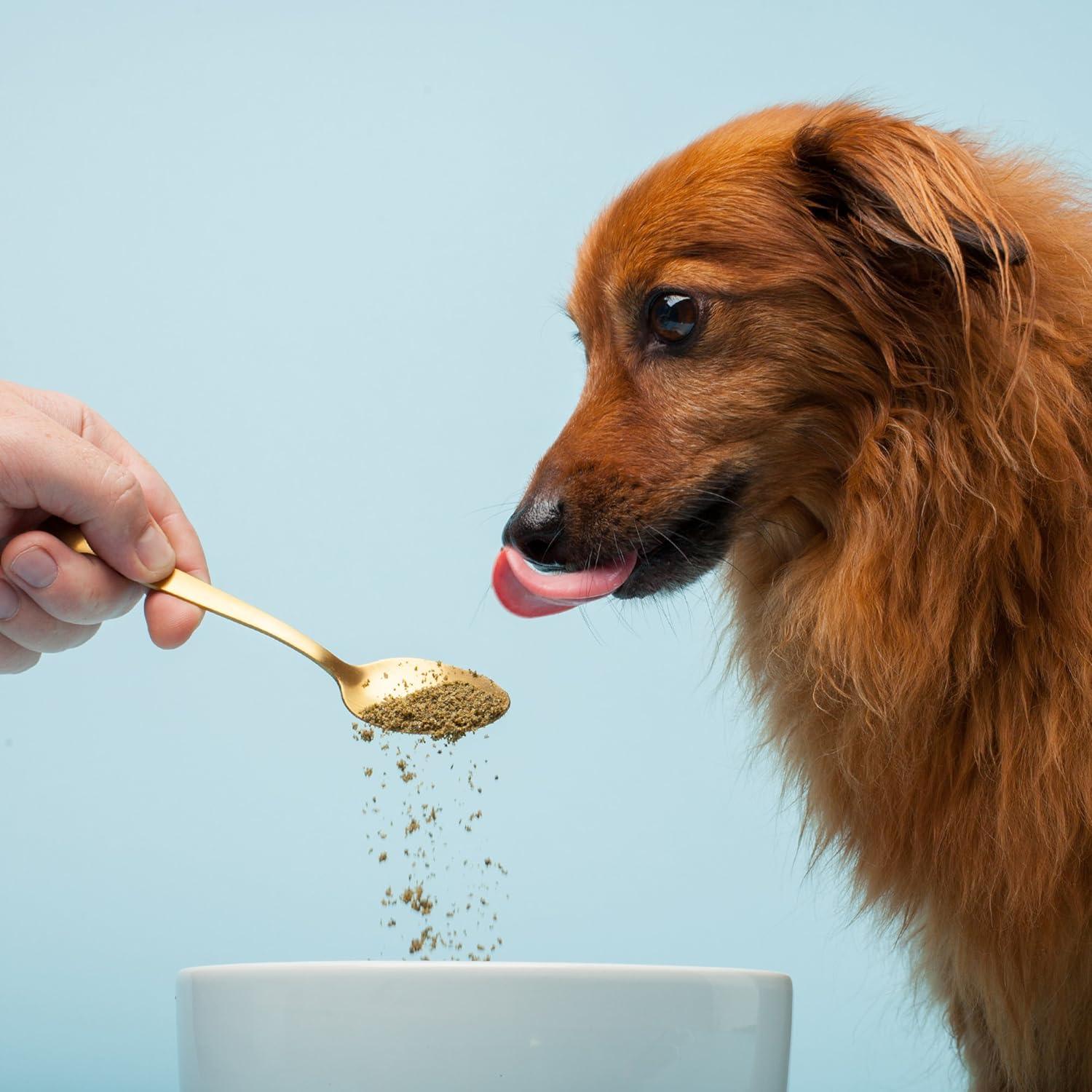 The Missing Link Pet Kelp Piel y Pelaje para Perros 227 g - Suplemento en Polvo Orgánico