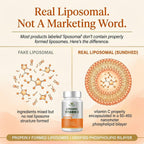 Vitamina C Liposomal Pura - 1200 mg - 60 Cápsulas