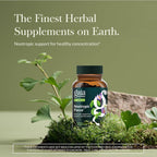 Gaia Herbs Nootropic Focus - Suplemento de concentración con Azafrán, Melisa y Ginkgo - 40 Cápsulas Líquidas