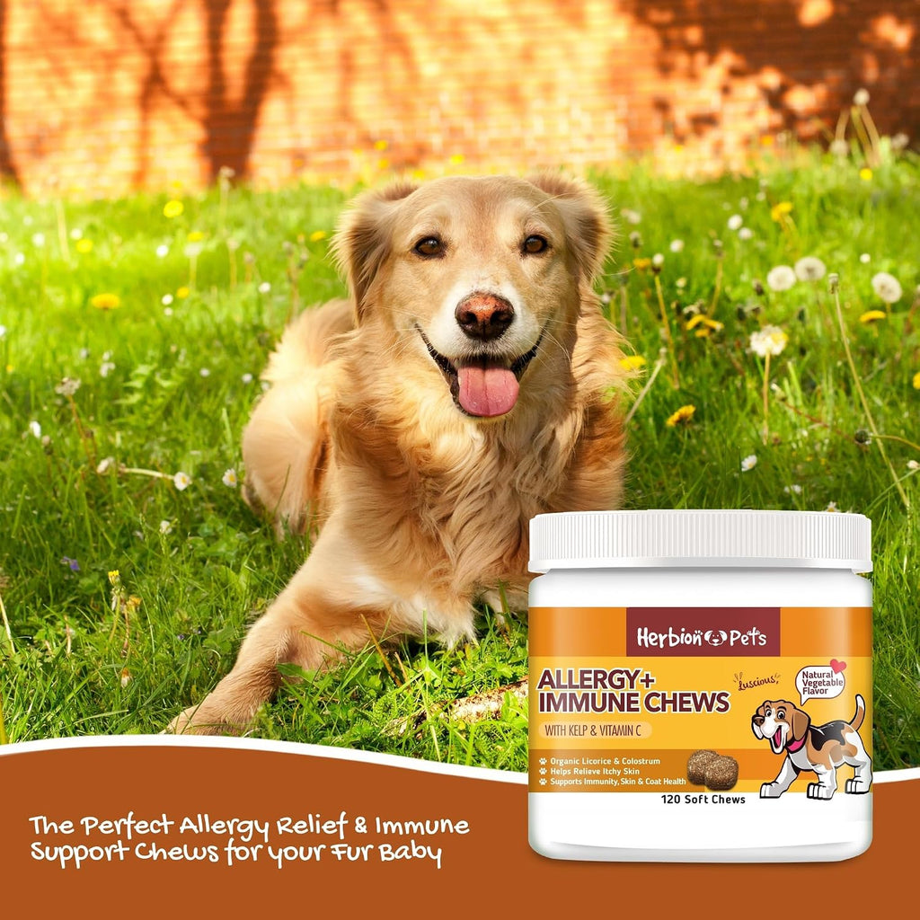 Herbion Pets Allergy + Immune Chews con Kelp y Vitamina C, 120 Masticables Blandos, Sabor Vegetal Natural, para Perros de 12 Semanas o Más