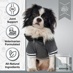 All Natural Multivitamin Soft Chews for Dogs 240ct | Glucosamina y Condroitina para Articulaciones con Probióticos para la Salud Intestinal e Inmunidad | Apoyo a la Movilidad y Bienestar Avanzado | Suministro para 4 Meses