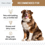 Anti Itch para Perros - 360 Golosinas Blandas Omega para Piel y Pelaje - Mezcla de Aceite de Salmón con Ácidos Grasos Esenciales, Omega 3, 6, Vitaminas, Antioxidantes - Hecho en EE.UU. (2 Paquetes de 180, Sabor a Mantequilla de Maní)