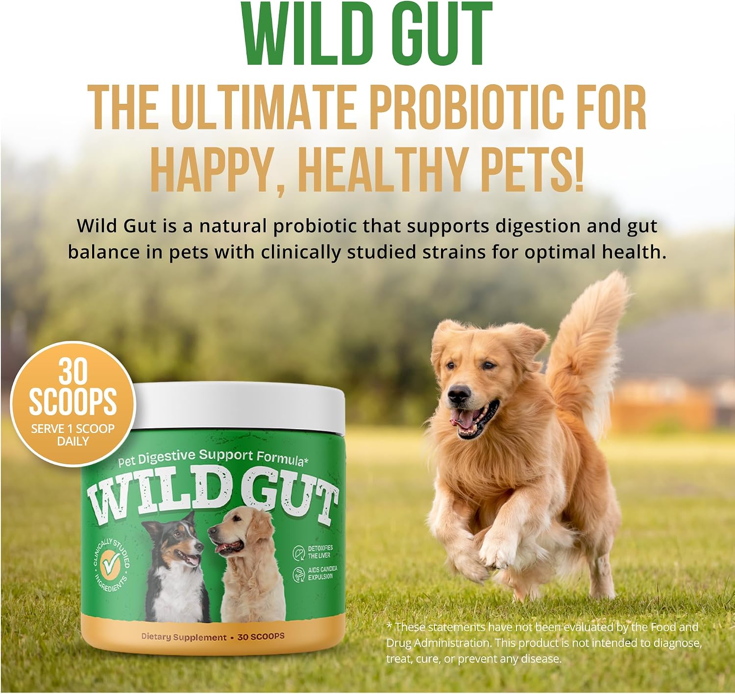 Wild Gut - Probiótico Natural para Perros y Gatos | 8 Cepas Probióticas | 3 Botes