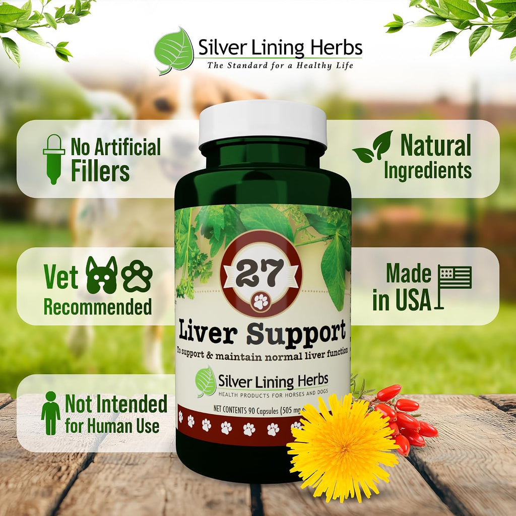 Silver Lining Herbs - Liver Support for Dogs - All Natural Herbal Supplement with Milk Thistle, Turmeric, Chamomile and More - 90 Capsules