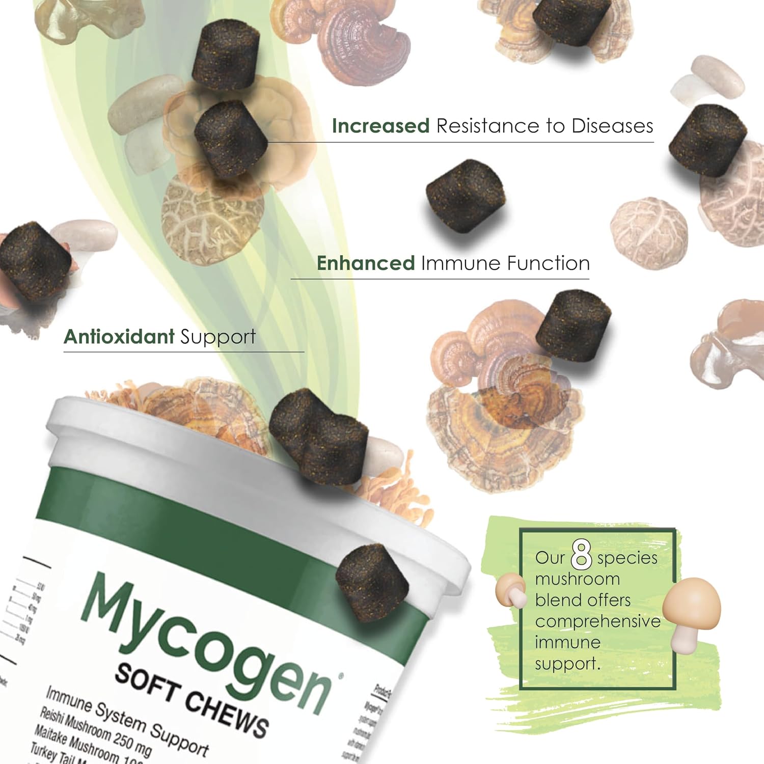 Mycogen Immune Support para Perros – Mezcla de Beta Glucano y Hongos Reishi, Shiitake y Maitake – 60 Chews Blandos Sabor Hígado