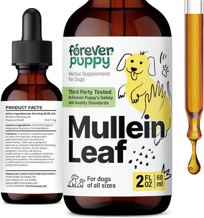 Forever Puppy Mullein Tincture for Dogs - – Extracto de hoja de gordolobo (Verbascum thapsus): Proporciona el – Image 1