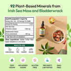 Pella Nutrition Sea Moss Drops con Bladderwrack – Gotas de Musgo Marino Irlandés de Absorción Rápida (Sabor Fresa y Lima, 60 ml)