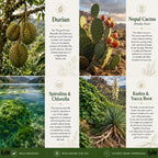 Wild Force GreenPro-C - Mezcla Premium de Superalimentos, Proteína Vegetal y Vitamina C