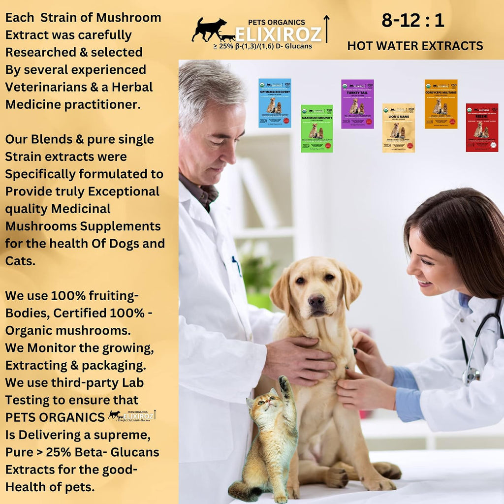 PETS ORGANICS ELIXIROZ Extracto de Melena de León para Perros y Gatos - Concentrado 8:1-12:1 - 250 Servicios