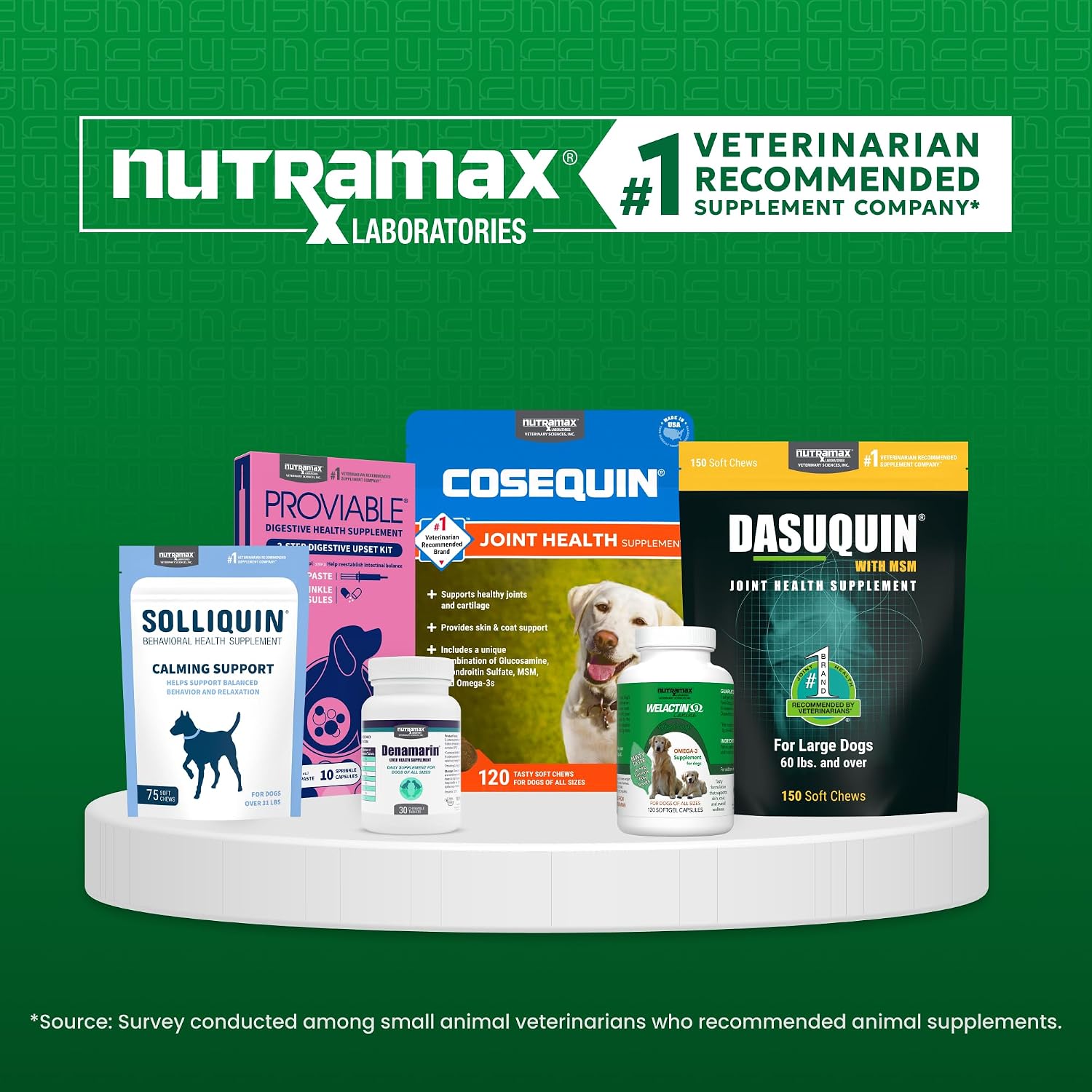 Nutramax Denamarin para Perros y Gatos Pequeños - Suplemento Hepático con SAMe y Silibina, 30 Comprimidos Recubiertos