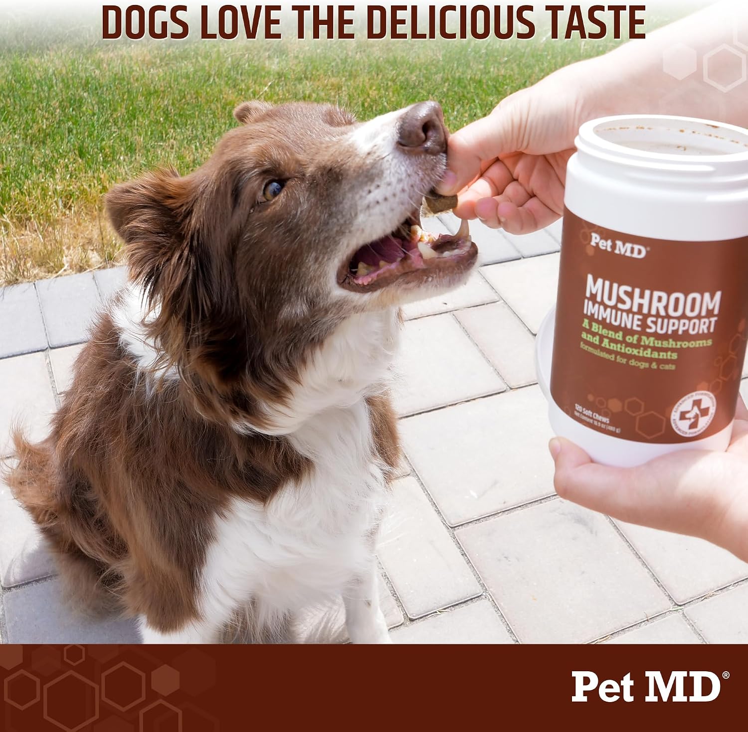 Pet MD Mushroom Immune Support para Perros y Gatos - 120 Comprimidos Masticables