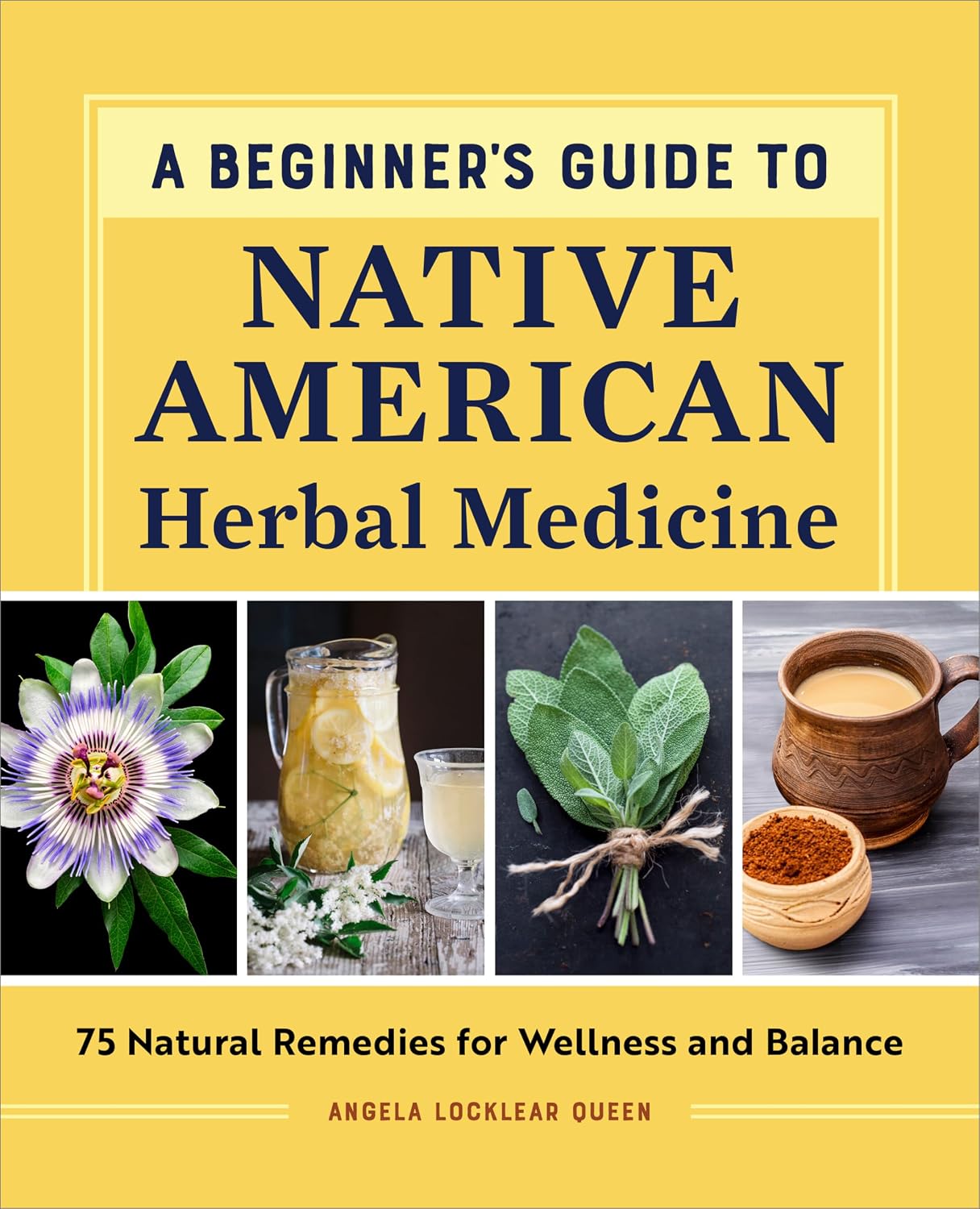 Guía para principiantes de la medicina herbal nativa americana: 75 remedios naturales para el bienestar y el equilibrio