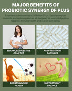 Probiotic Synergy DF Plus - 30 Billion CFU with Saccharomyces boulardii and Arabinogalactan - 30 Sachets - Comprehensive Support for Intestinal Ecology* - Professional Formula
