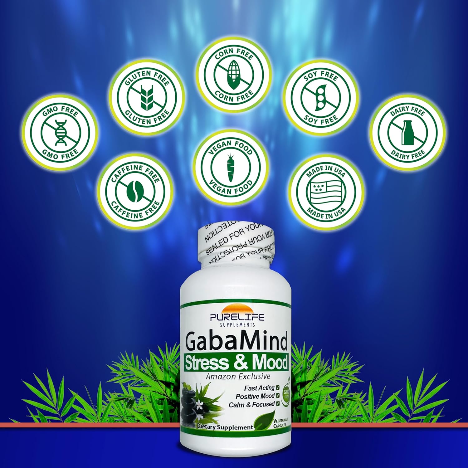 GabaMind Stress and Mood (90 Cápsulas)