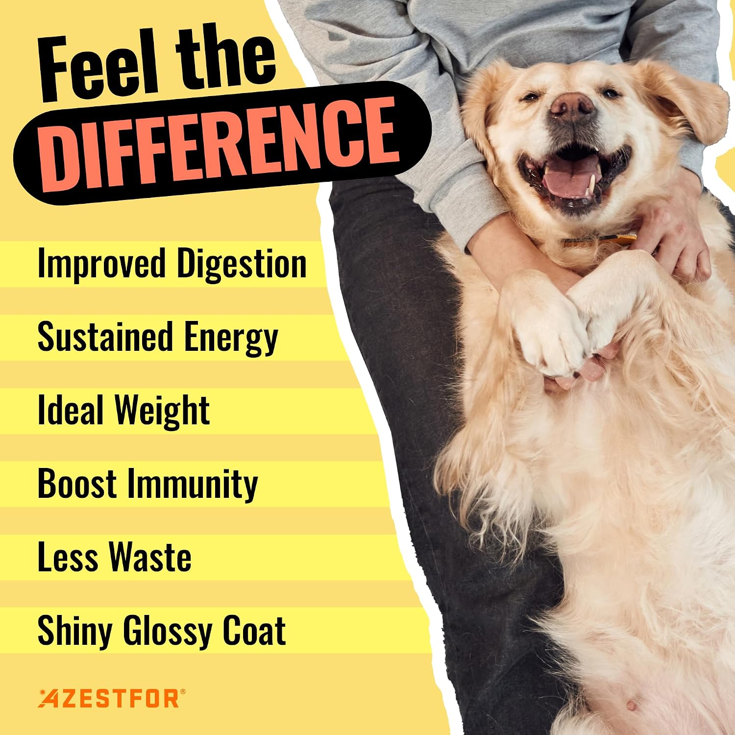 Azestfor Suplemento Multivitamínico para Perros – Dieta Casera – 16 oz (454 g) Polvo